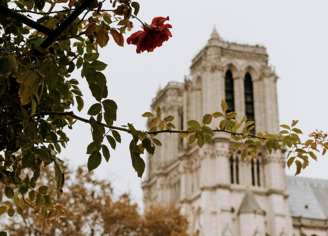 Notre-Dame de Paris Cathedral.jpg