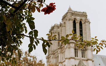 Nexans mobilized for the reconstruction of Notre-Dame de Paris cathedral